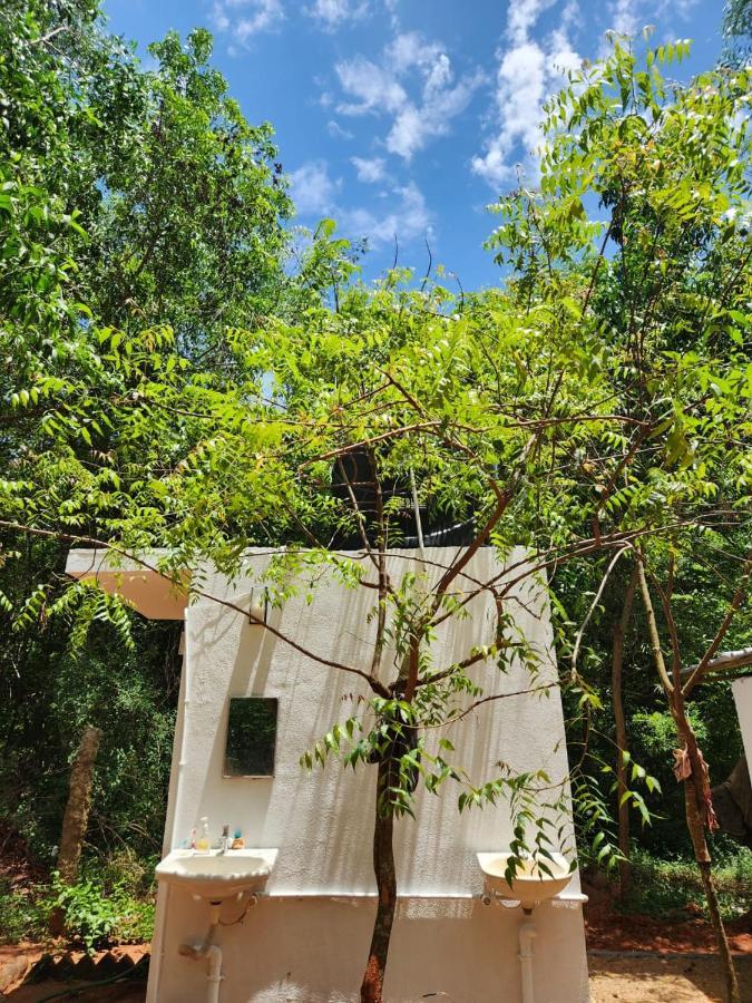 אורוויל Nebula Nest Cafe & Hostel מראה חיצוני תמונה