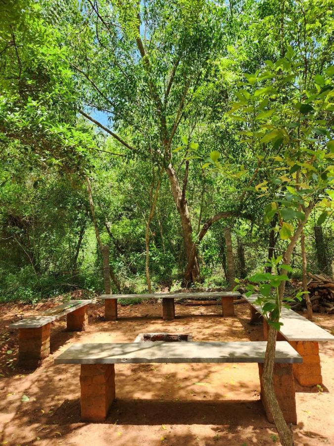 אורוויל Nebula Nest Cafe & Hostel מראה חיצוני תמונה