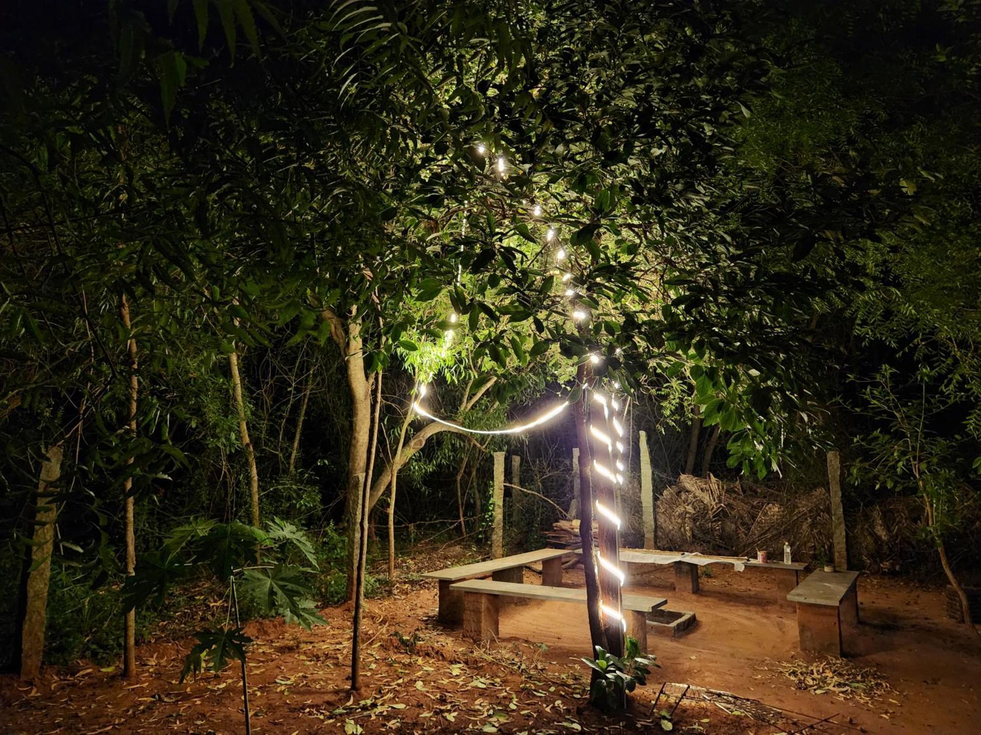 אורוויל Nebula Nest Cafe & Hostel מראה חיצוני תמונה