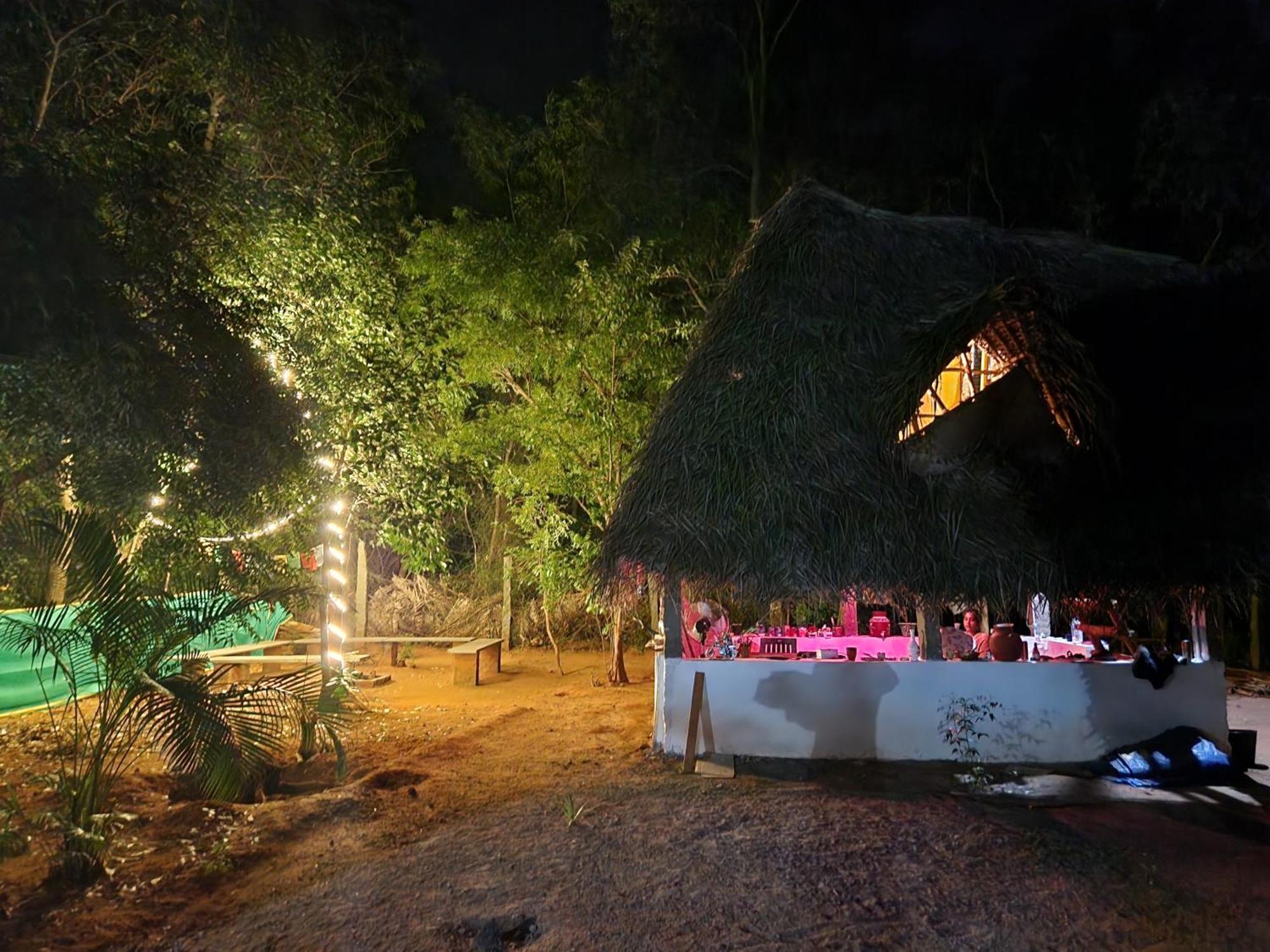 אורוויל Nebula Nest Cafe & Hostel מראה חיצוני תמונה