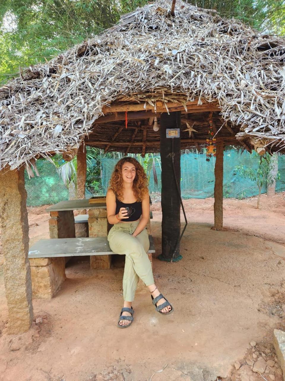 אורוויל Nebula Nest Cafe & Hostel מראה חיצוני תמונה